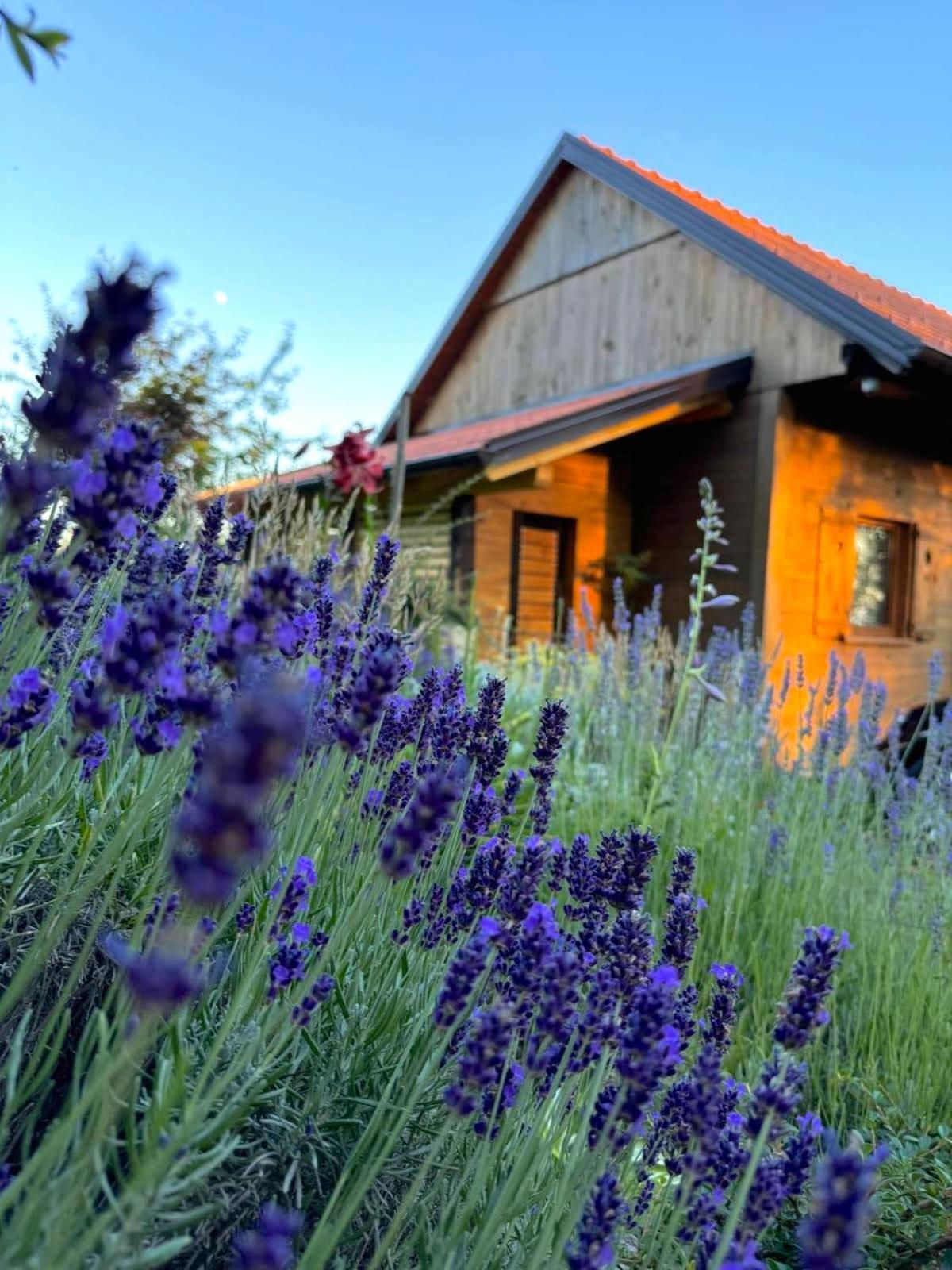 Relax House Aurora Počitniška hiša